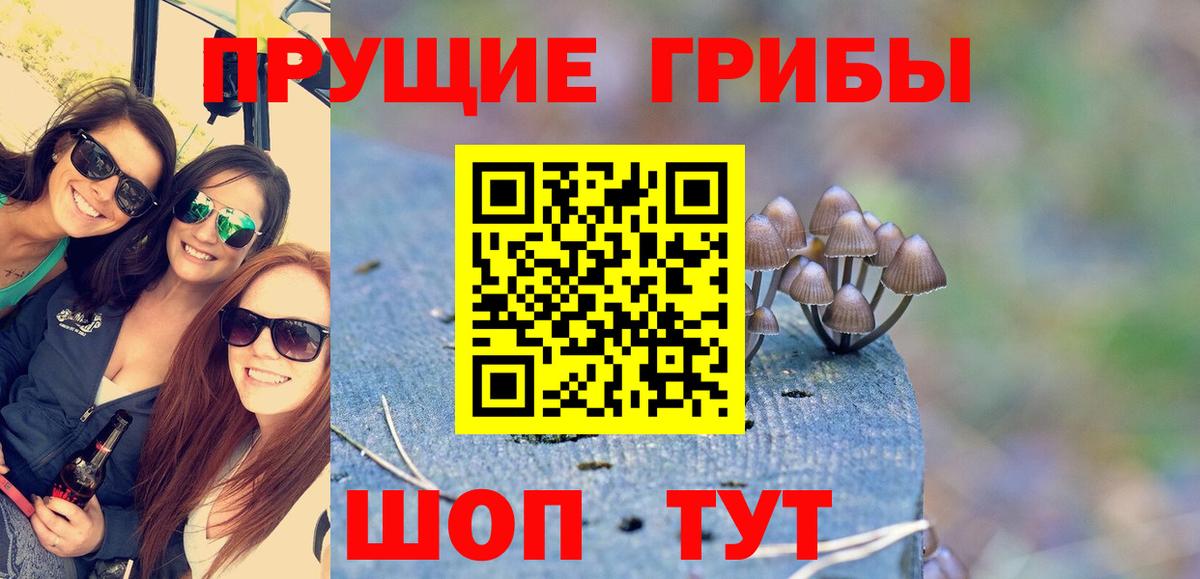 Галлюциногенные грибы ЛСД  купить наркотик  Екатеринбург  Псилоцибиновые грибы мицелий  Вход с VPN 
